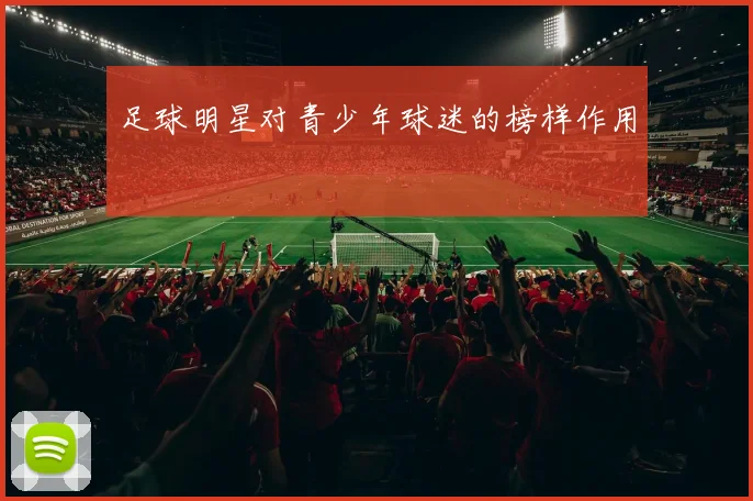 足球明星对青少年球迷的榜样作用