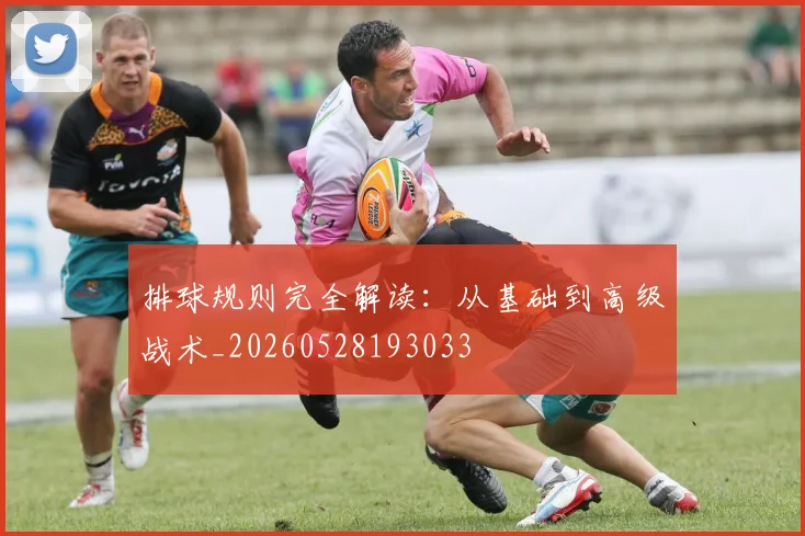 排球规则完全解读：从基础到高级战术_20260528193033